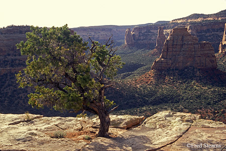 Colorado National Monument Independence Monument